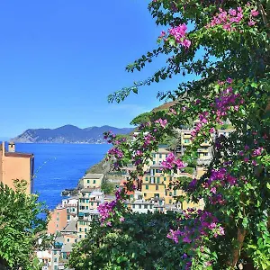 5 Terre For , Riomaggiore Italy